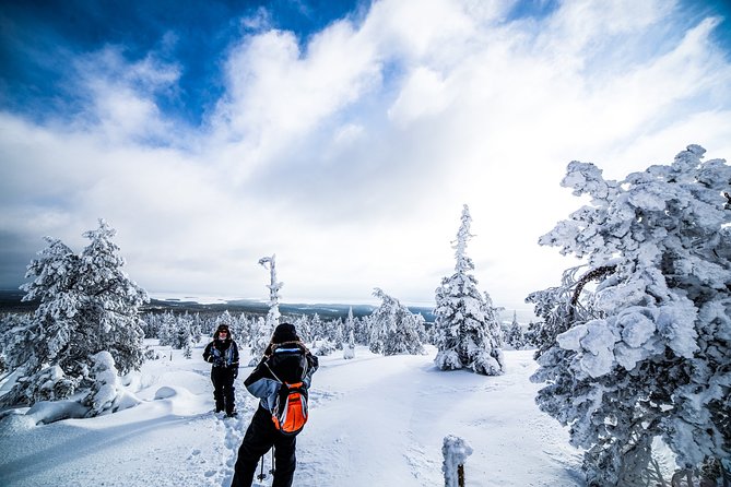 Photographing Tour by Snowmobile Sleigh - Key things I’d prioritize before you book