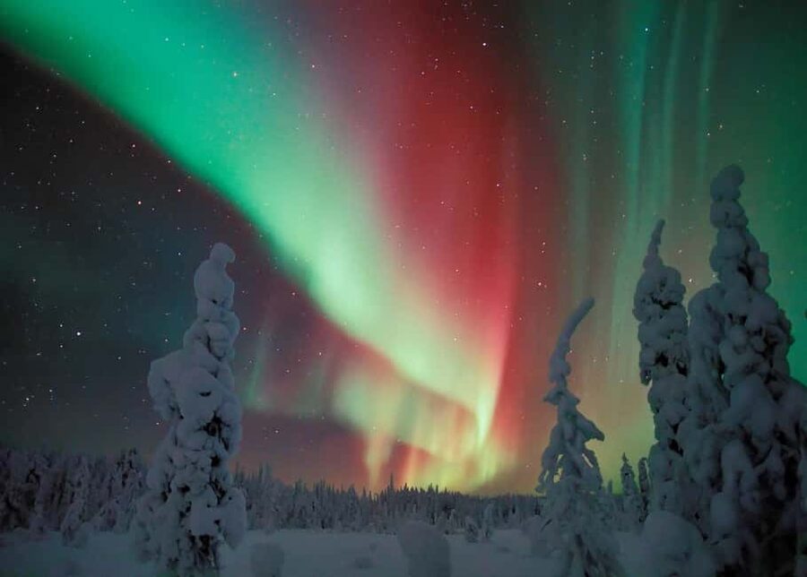 Polar Night Snowshoe Trek - Why Lapland Polar Night Makes This Trek Feel Different