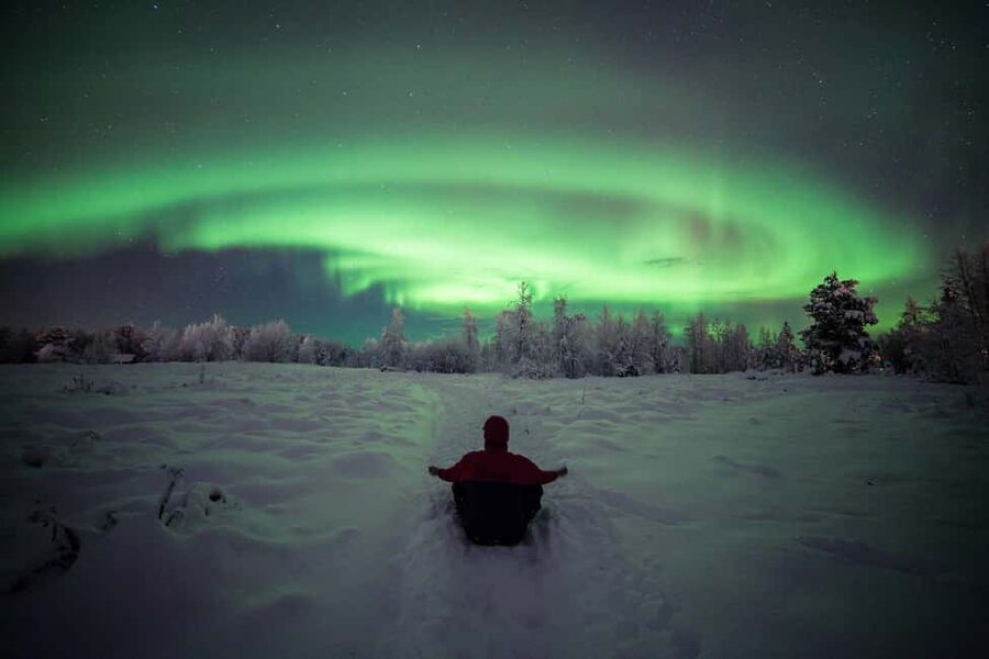 Polar Night Snowshoe Trek - The 3-Hour Snowshoe Trek: Forest Walk, Animal Signs, and Pauses