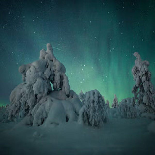 Polar Night Snowshoe Trek - Warm Drinks, Light Snacks, and Cold-Weather Comfort That Actually Works