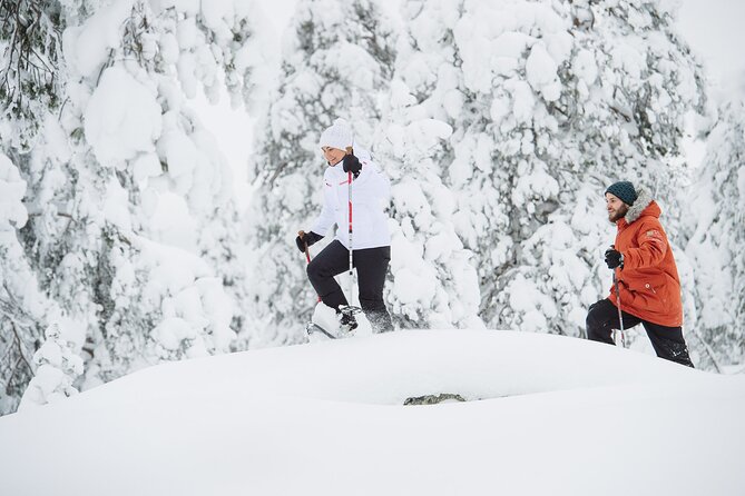 Premium Snowshoeing in Pyhä-Luosto National Park - Key Highlights You Shouldn’t Miss