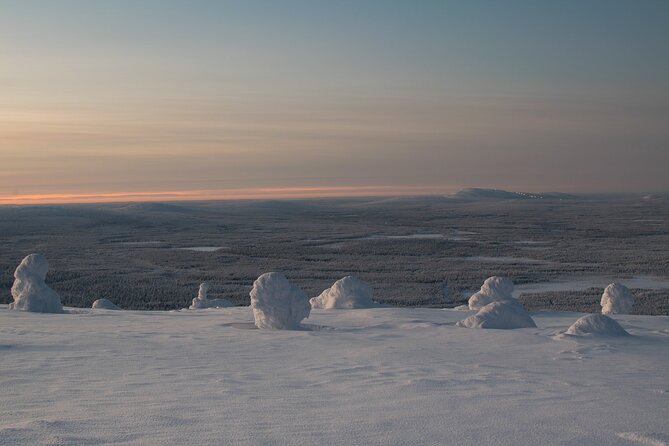 Premium Snowshoeing in Pyhä-Luosto National Park - Snowshoeing into the Arctic Taiga: What the Walk Really Feels Like