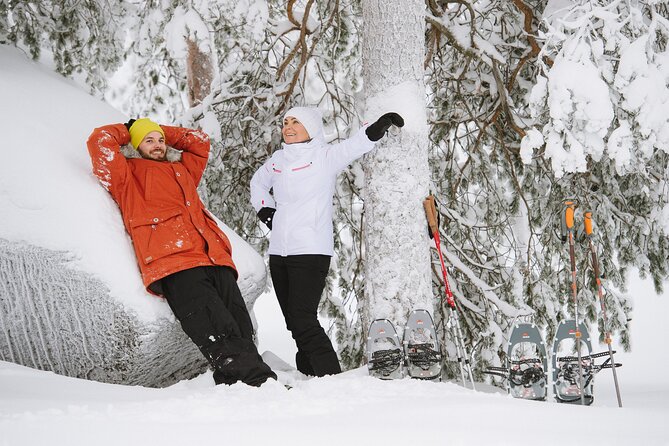 Premium Snowshoeing in Pyhä-Luosto National Park - Small-Group Energy: English Guides and Personalized Pace