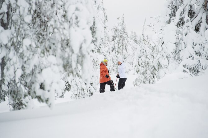 Premium Snowshoeing in Pyhä-Luosto National Park - Where You Start: Bliss AdventureShopping at 10:00