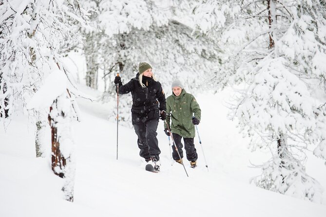 Premium Wilderness Skiing in Pyhä-Luosto National Park - Key highlights worth caring about