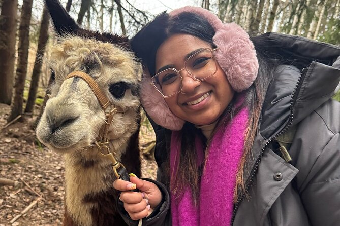 PRIVATE Alpaca Guided Forest Walk + Feeding Helsinki - The Forest Walk: Your Own Alpaca, Your Own Pace