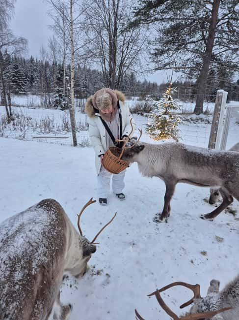 Private and authentic reindeer experience in homefarm - What to Bring So You Can Actually Enjoy It