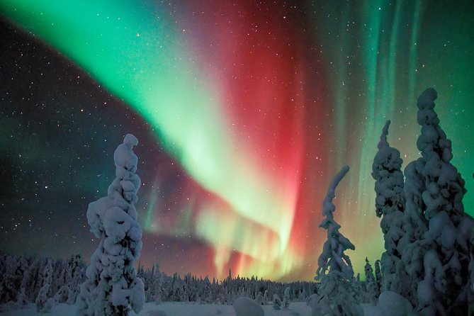 Private Aurora Tour by Lapland Welcome Aurora Experts for 1-4 persons - The Ivalo-Saariselka dark-sky strategy that boosts visibility