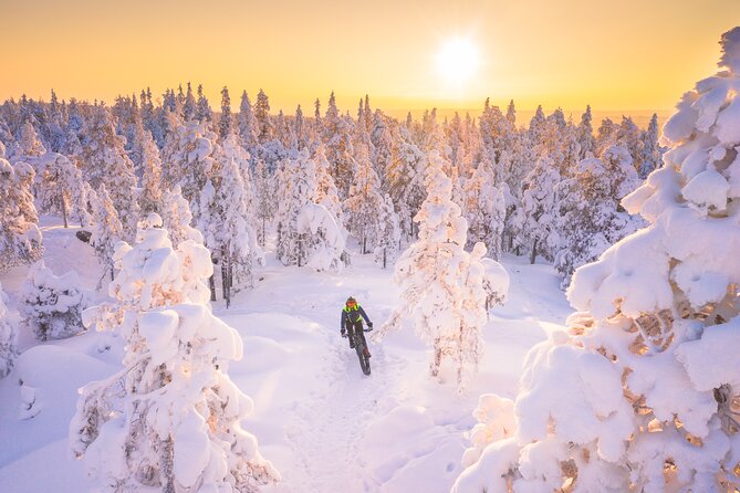 Private Electric Fat Bike Winter Tour in Rovaniemi - Meeting up at Hostel Café Koti, then getting your bike ready