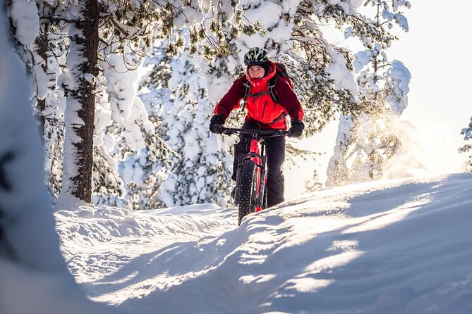 Private Electric Fat Bike Winter Tour in Rovaniemi - How hard is it, really? (And who will enjoy it most)