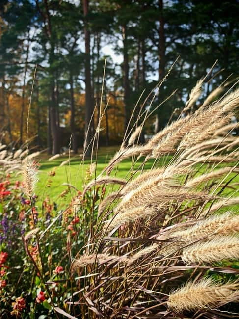 Private Forest Mind Tour in Tampere - Key highlights to look for