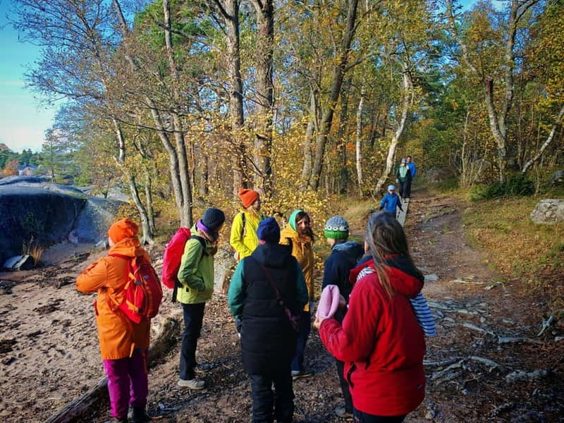 Private Forest Mind Tour in Tampere - The hike itself: about 3 kilometres, with a gentler pace