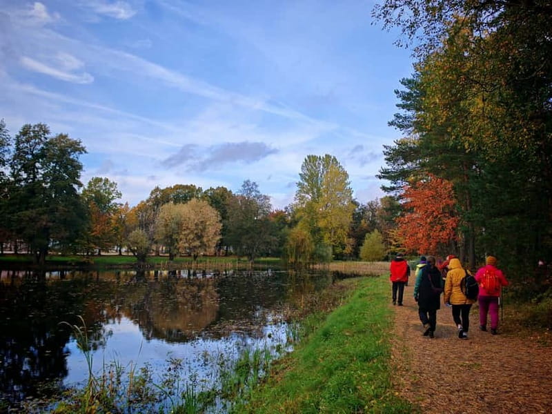 Private Forest Mind Tour in Tampere - Rauhaniemi Sauna car park to forest time: the start matters