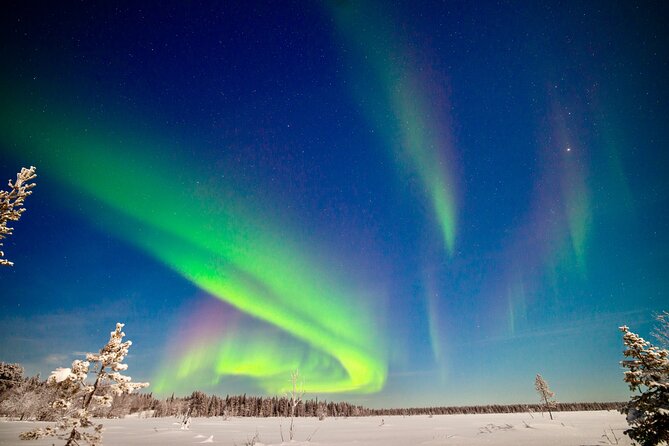 Private Group: Northern Lights Hunt 4x4 SUV with Aurora guarantee - Key highlights you’ll notice right away