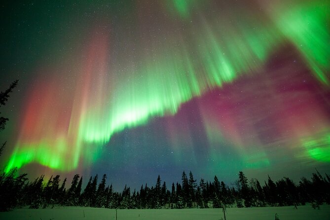 Private Group: Northern Lights Hunt 4x4 SUV with Aurora guarantee - Fire camp breaks in the cold, kota warmth and wood-fired comfort