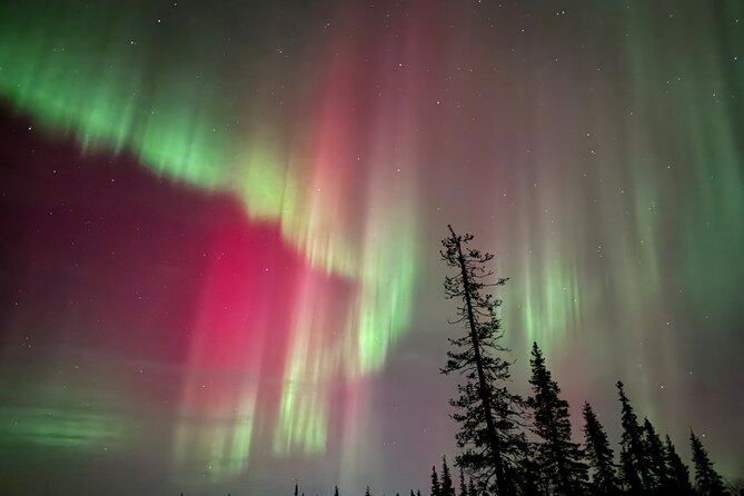 Private Group: Northern Lights Hunt 4x4 SUV with Aurora guarantee - What to wear so the “wait” doesn’t ruin the night