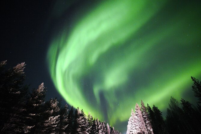 Private Group: Northern Lights Hunt 4x4 SUV with Aurora guarantee - The 4x4 SUV setup, pickup timing, and why it helps
