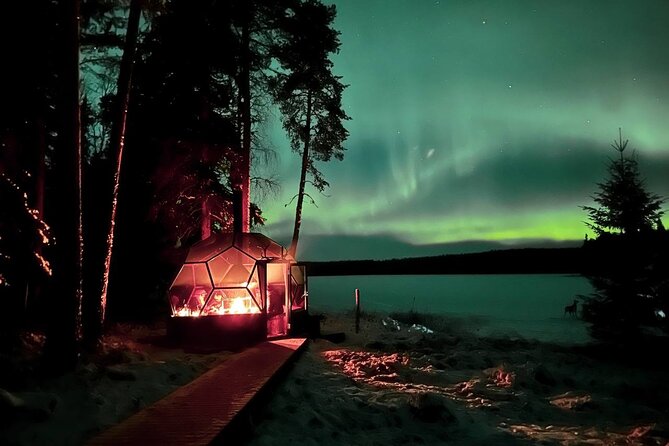 Private Northern Lights Expedition by Lapland's Experienced Team - Price and value: why about $343 feels fair for 3 hours