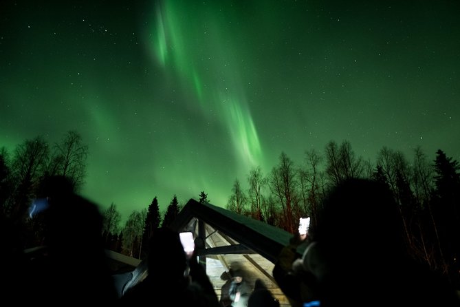 Private Northern Lights Hunting Expedition - Aurora Borealis 101 With a Local Guide (and Photo Coaching)