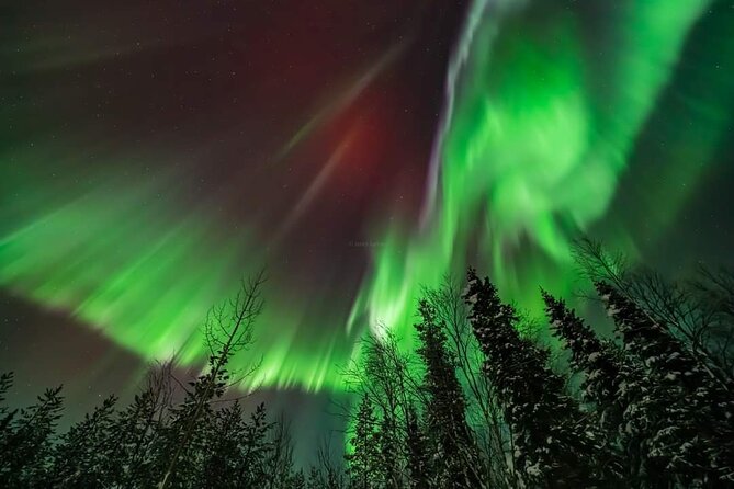 Private Northern Lights Hunting Tour Rovaniemi - Who This Private Northern Lights Tour Suits Best