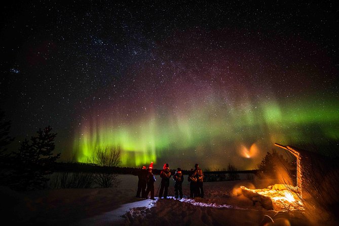 Private Northern Lights photography tour in Rovaniemi - On foot: headlamps, tripods, and the guide’s camera setup