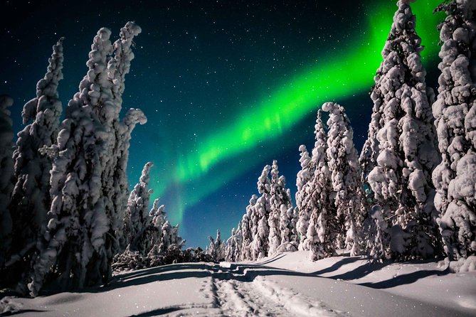 Private Northern Lights photography tour in Rovaniemi - Who this Northern Lights photo tour is best for