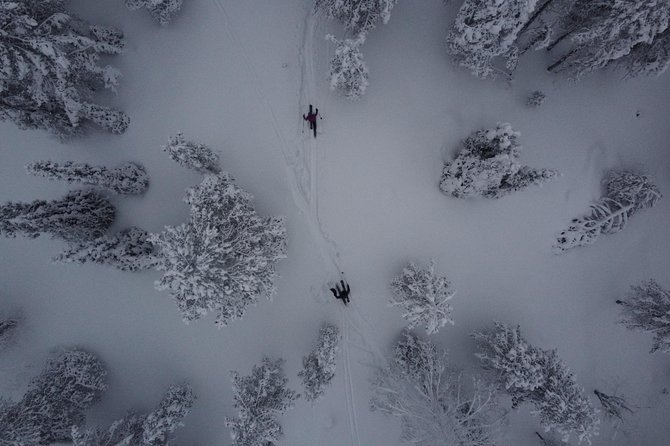 Private Northern Lights Tour With Skis Or Snowshoes in Pyhä - Your 3-Hour Night Route: From Pyha-Luosto National Park to Pyhatunturi