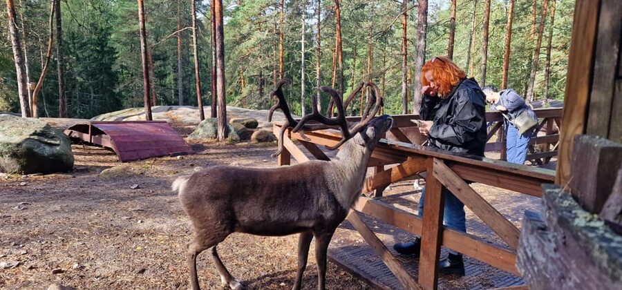 PRIVATE Reindeer Park Adventure by VIP Car - Coffee, Tea, Local Snacks, and Wildlife Viewing in Nuuksio