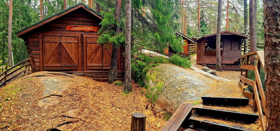 PRIVATE Reindeer Park Adventure by VIP Car - Price and Value: Is $441 Per Person Fair for a Private Reindeer Day?