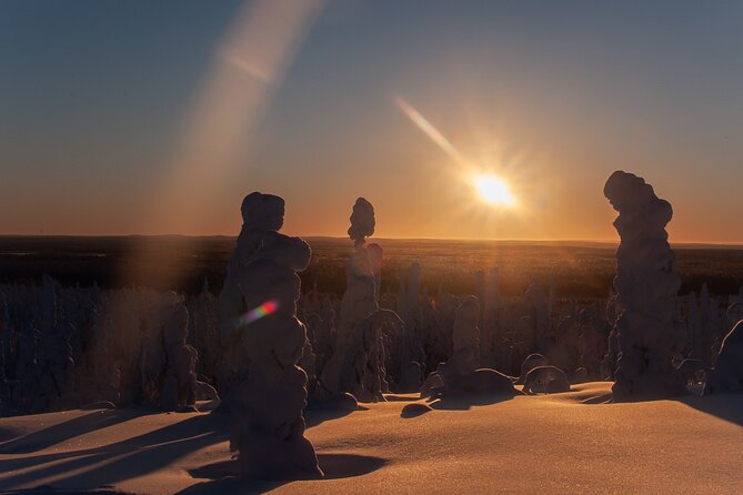 Private Snowshoe or Ski Adventure in Lapland from Rovaniemi - Key highlights worth noting