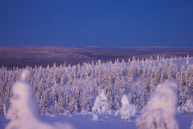 Private Snowshoe or Ski Adventure in Lapland from Rovaniemi - Choosing your snow route in Lapland, 8-15 km or 4-8 km