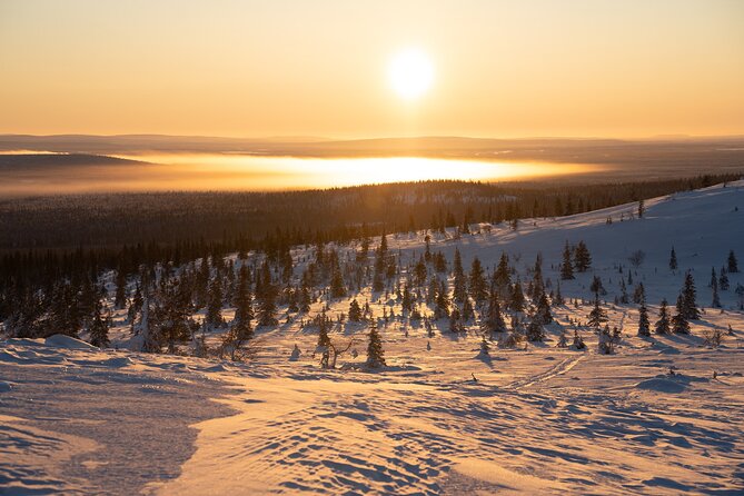Private Snowshoe or Ski Adventure in Lapland from Rovaniemi - Snowshoeing vs ski hiking, two ways to feel the winter