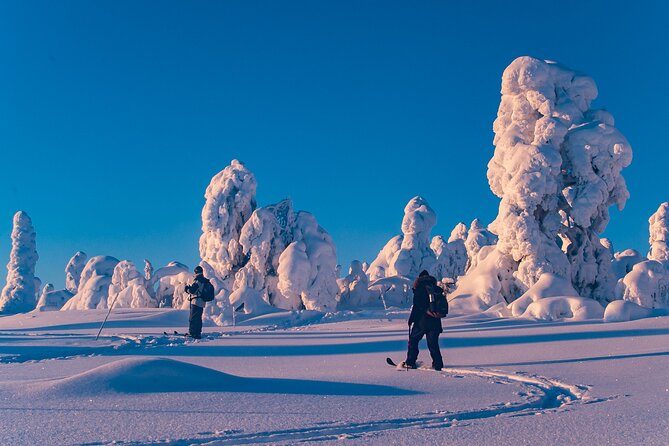 Private Snowshoe or Ski Adventure in Lapland from Rovaniemi - The meeting point and pickup that actually matter