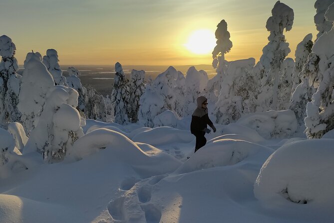 Private Snowshoeing in Levi - Arriving in Levi, Meeting Point, and How Pickup Works