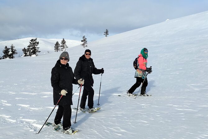 Private Snowshoeing in Levi - English Guidance, Face-to-Face Tips, and Small-Group Comfort