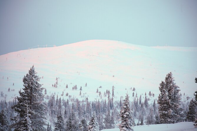 Private: Snowshoeing Safari in spectacular National Park - How the Levi pickup sets the tone for a great Lapland day