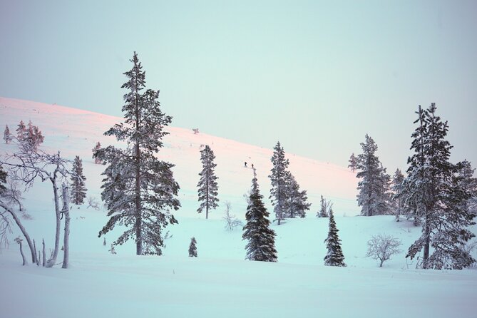 Private: Snowshoeing Safari in spectacular National Park - What the cameraman means for your photos