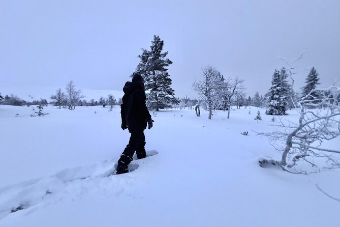 Private: Snowshoeing Safari in spectacular National Park - What a 4-hour private snowshoe safari actually includes