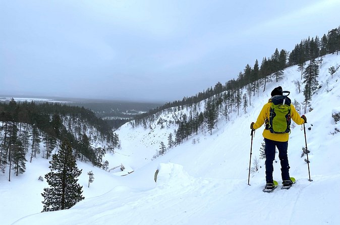 Private Snowshoeing Tour In Pyhätunturi With A Local Guide - Pyha-Luosto National Park and the art of spotting animal tracks
