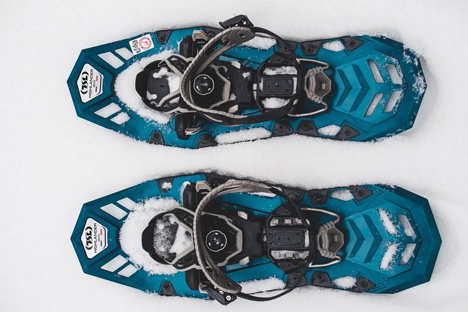 Private Snowshoeing Tour In Pyhätunturi With A Local Guide - Taste Of Outdoors: the campfire meal and hot drinks moment
