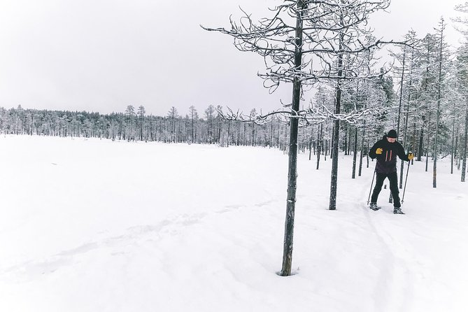 Private Snowshoeing Tour In Pyhätunturi With A Local Guide - Price and value: is $126.98 per person worth it?