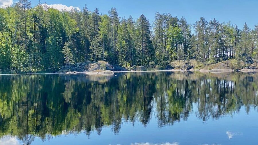 Puumala: Lake Saimaa Seal Watching Cruise - Key Points to Know Before You Go