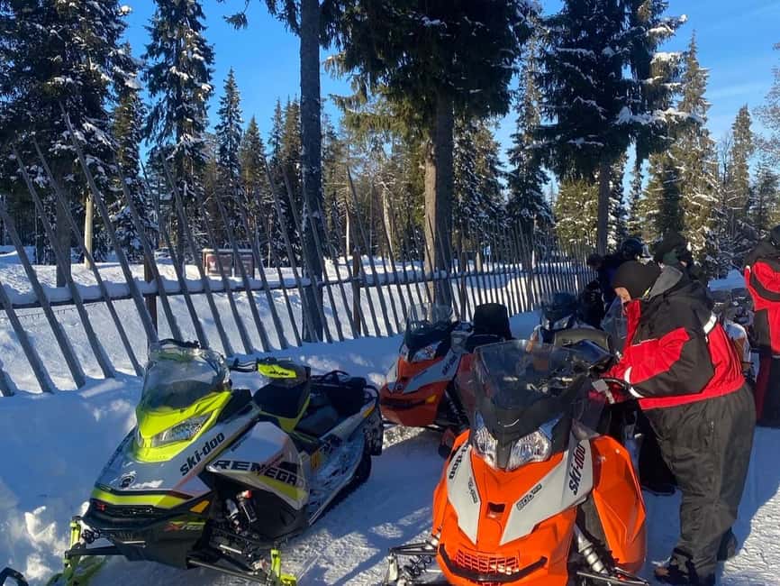 Pyhä: Forest Trails Snowmobile Safari - Who should book this safari, and who should skip it