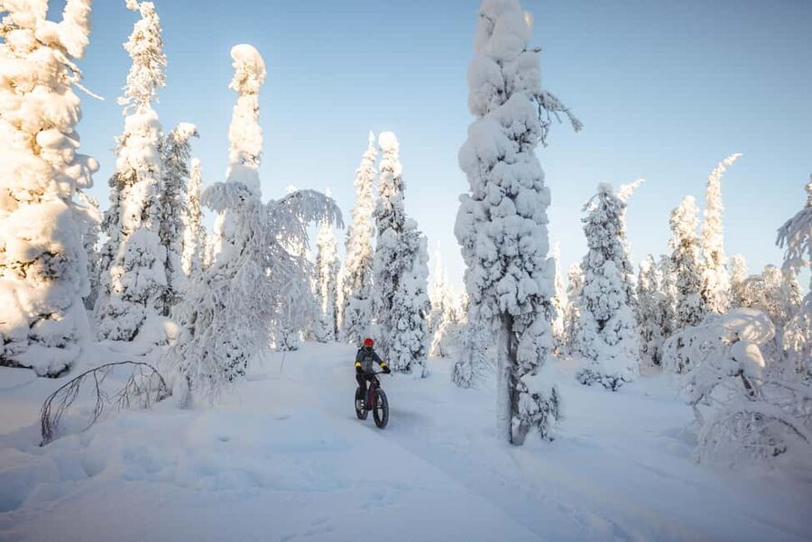 Pyhätunturi: Electric Fatbike Tour in Finnish Lapland - Hot berry drinks and winter storytelling that makes the forest stick