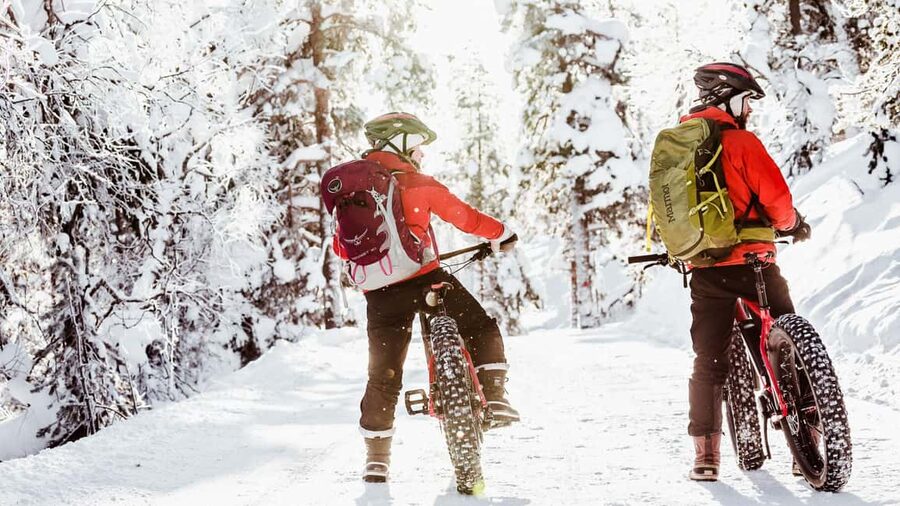 Pyhätunturi: Electric Fatbike Tour in Finnish Lapland - Price and value: is $133 for 2 hours worth it?