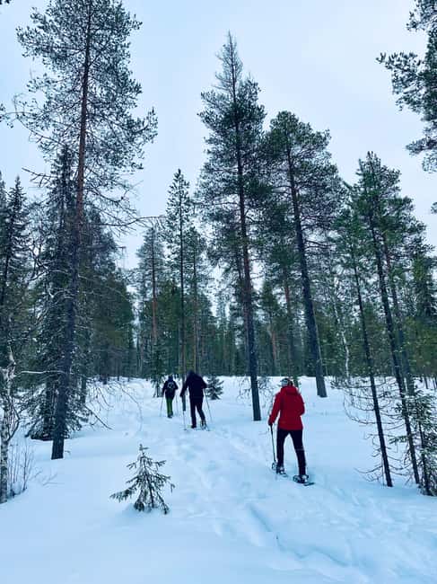 Pyhätunturi: Private Snowshoeing Tour With Local Guide - Price and value: $147 for a 3-hour private winter reset