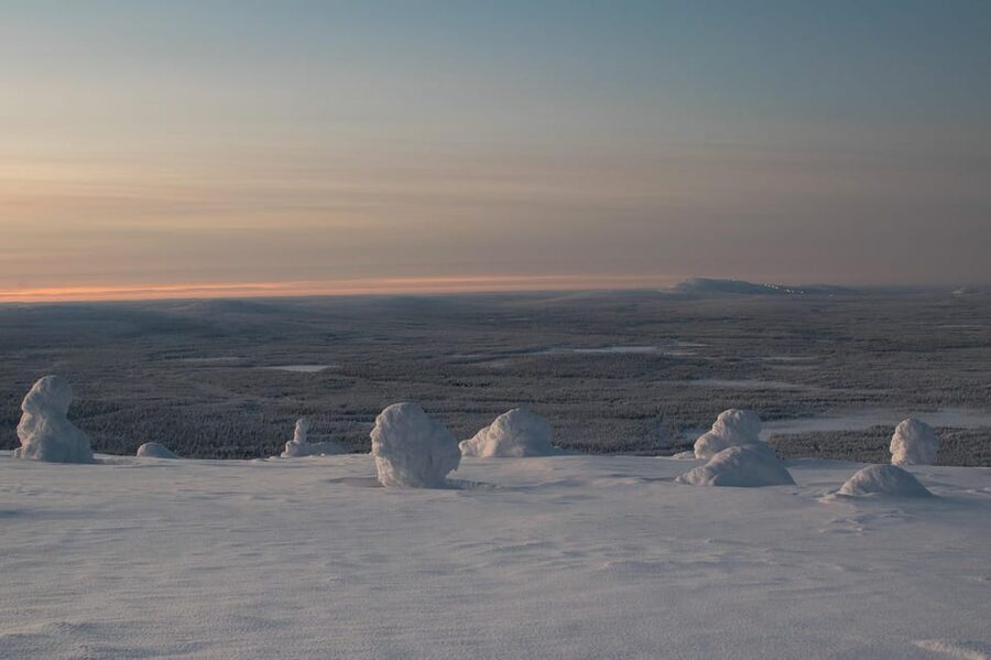Pyhätunturi: Scenic Snowshoeing Tour in Finnish Lapland - Instructor-led guidance, English support, and why it matters