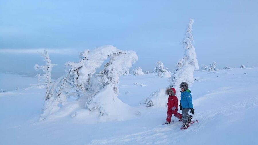 Pyhätunturi: Scenic Snowshoeing Tour in Finnish Lapland - What happens after the top: moving toward the park, and reindeer when available