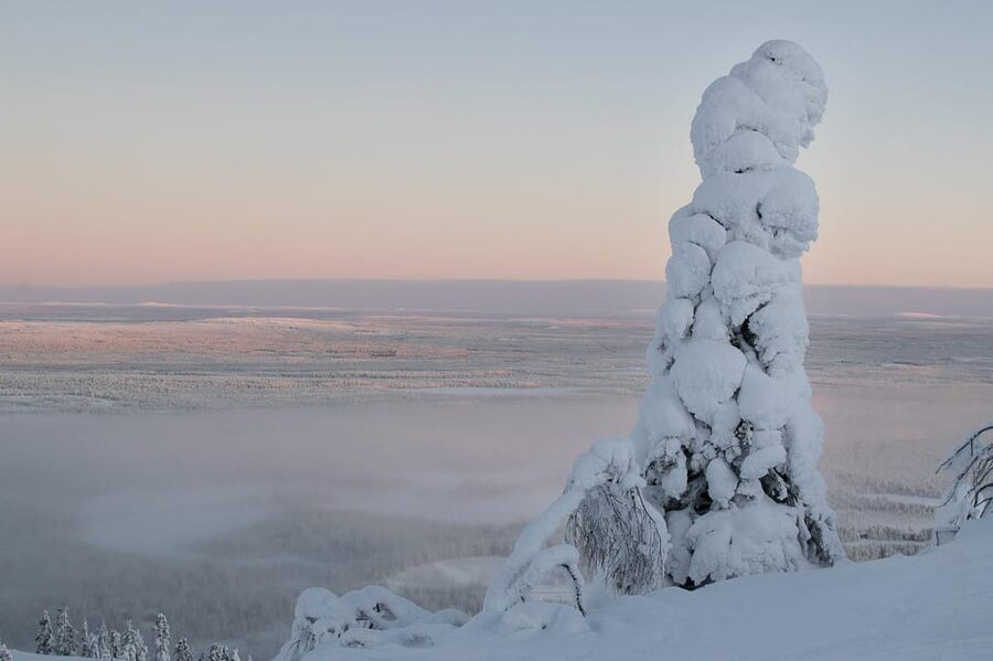 Pyhätunturi: Scenic Snowshoeing Tour in Finnish Lapland - Family-friendly snowshoeing that does not talk down to you