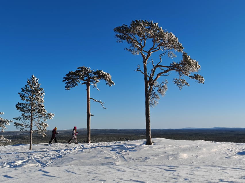 Pyhätunturi: Try Wilderness Skiing in Finnish Lapland - Price and time: what you pay, what you actually get for $133